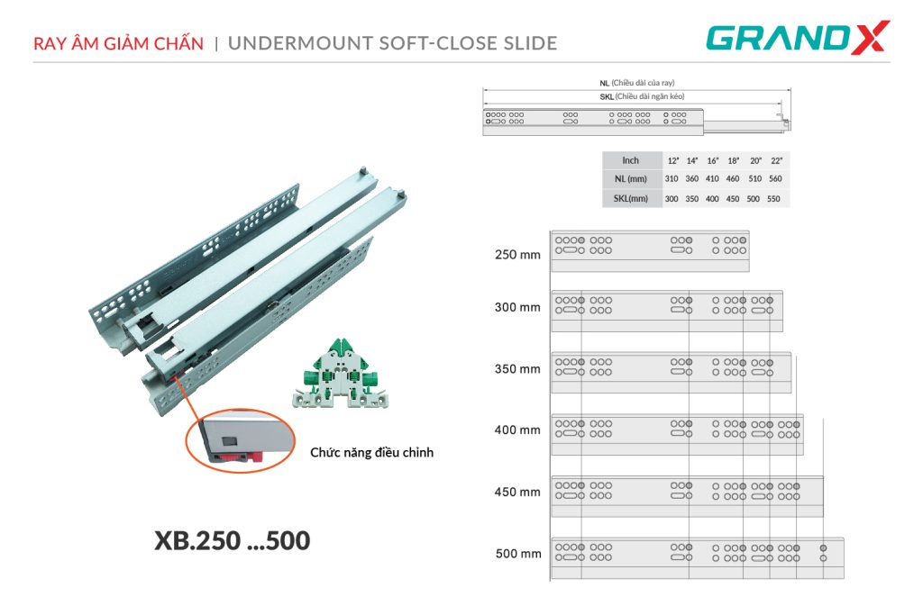 Ray âm toàn phần giảm chấn Betelgeuse 4D XB.400 GrandX - ảnh 2